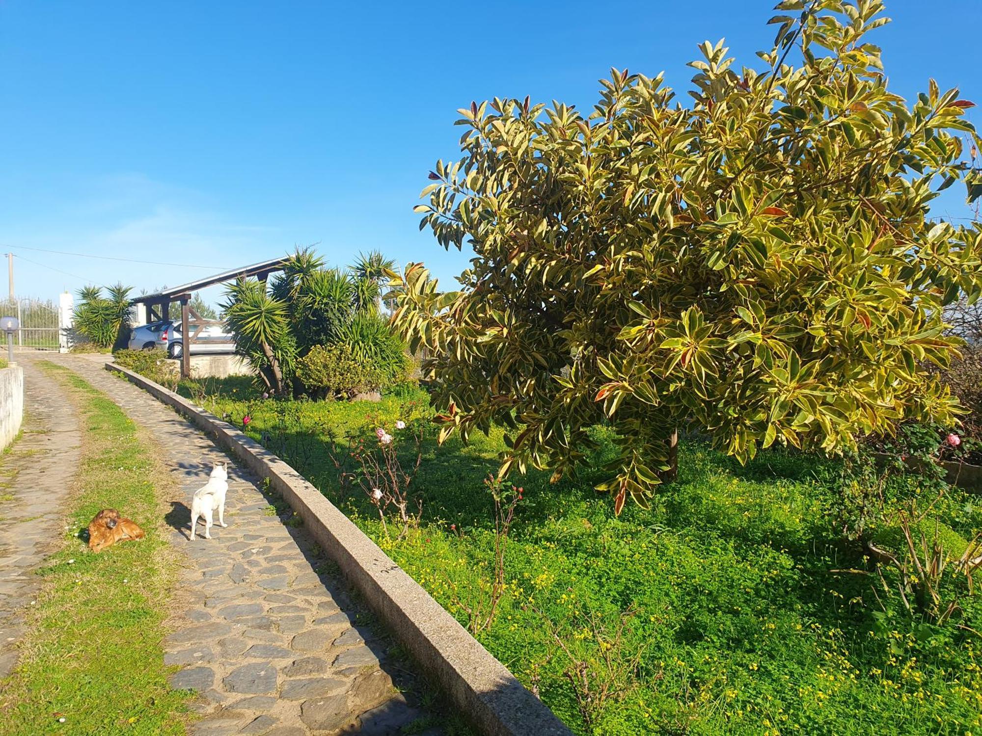 Asinara Villa Sassari Exterior photo